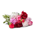 Custom Peonies Bouquet